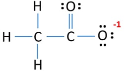 CH3COO- acetate ion lewis structure